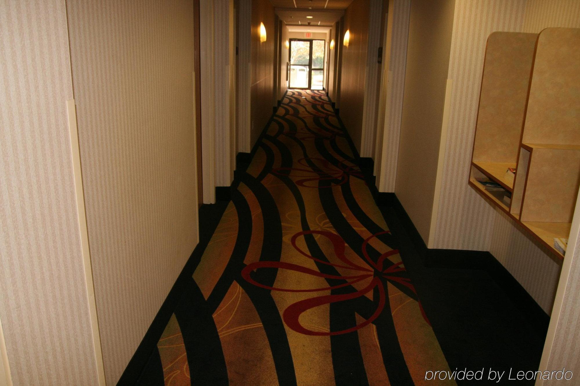 Holiday Inn Express Hotel & Suites Tampa-Anderson Road-Veterans Exp By Ihg West Chase Nội địa bức ảnh